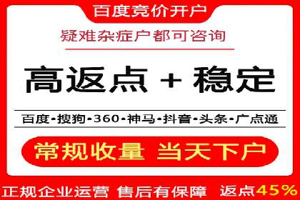 百度竞价策略解析：案例分析及优化建议